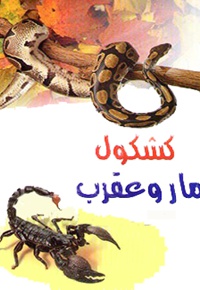 کشکول مار و عقرب